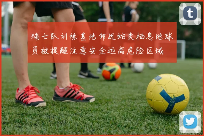 瑞士队训练基地邻近蛇类栖息地球员被提醒注意安全远离危险区域