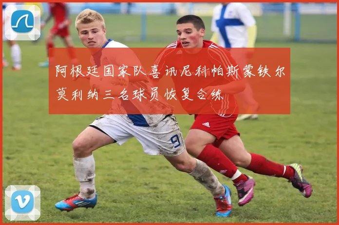 阿根廷国家队喜讯尼科帕斯蒙铁尔莫利纳三名球员恢复合练